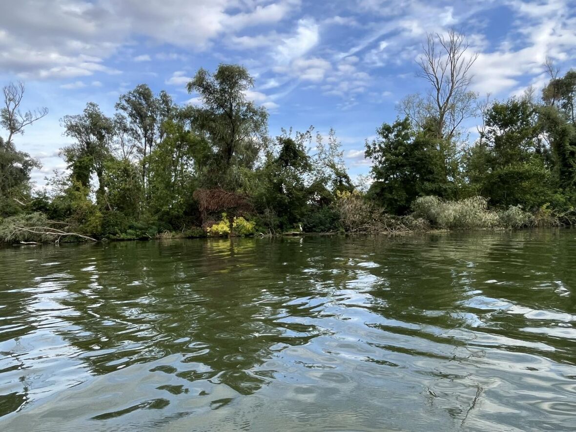 Integrált vízkészlet gazdálkodás