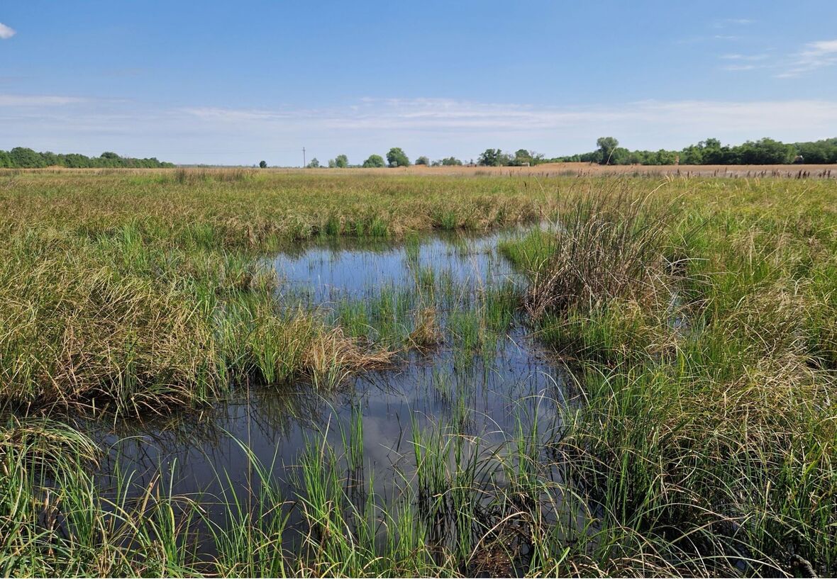 Akolháti elárasztás