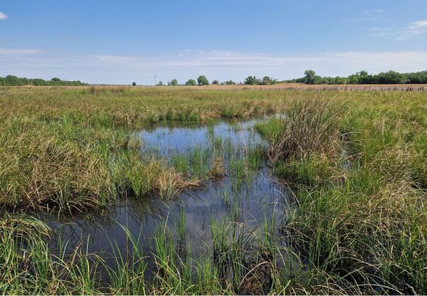 Akolháti elárasztás