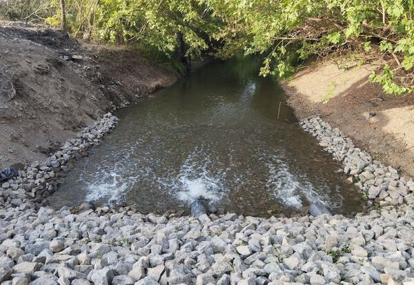 Csonkás fenékküszöb