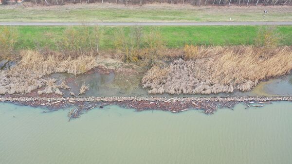 hullámtéri szemét