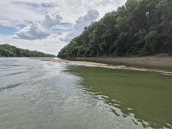 Tisza kicsi
