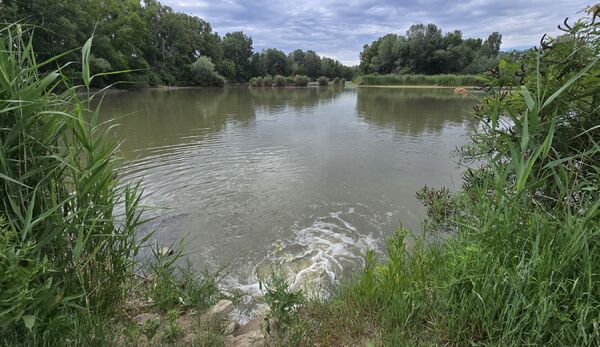 Gyova-Mámai Holt-Tisza